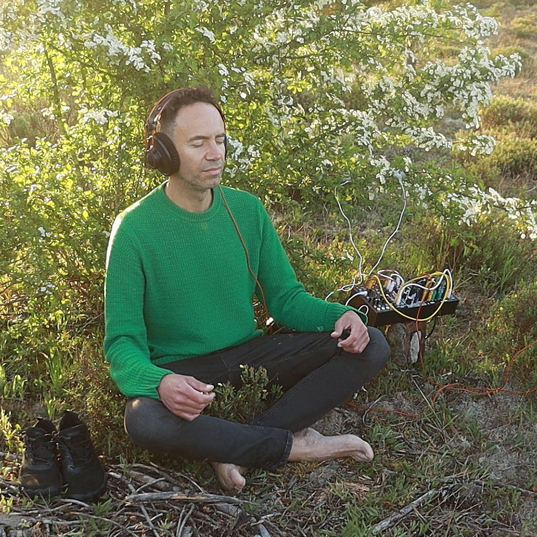 Hawthorn Tree Bloom: A Different Morning Meditation for an Overstimulated Nervous System