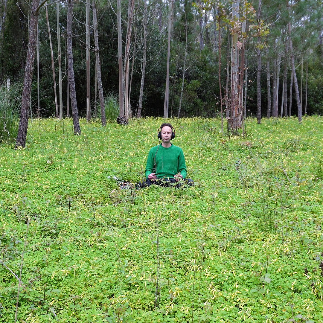The Quiet Intelligence of Oxalis