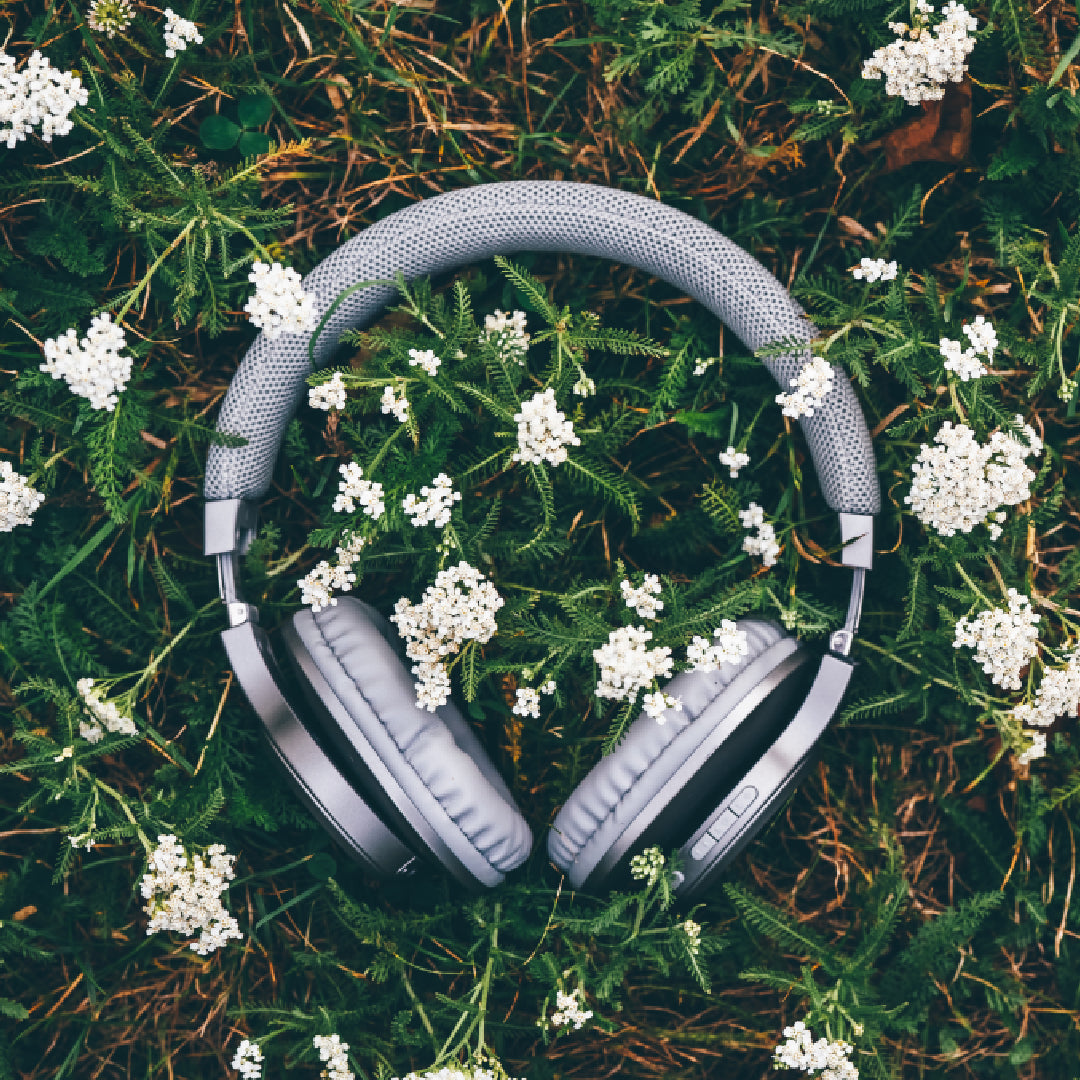 What Are Binaural Beats? (History, Science & How They Work in Bio Music Vibrations)