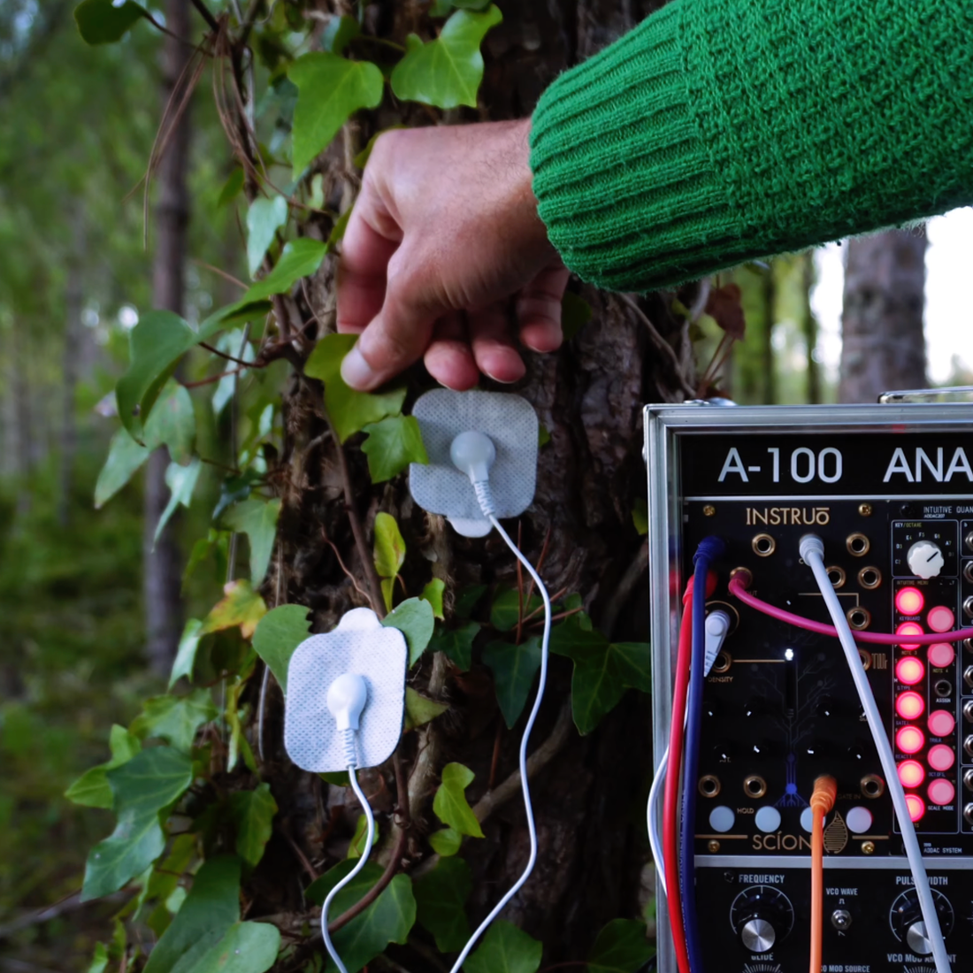 How Bio Music Vibrations Works