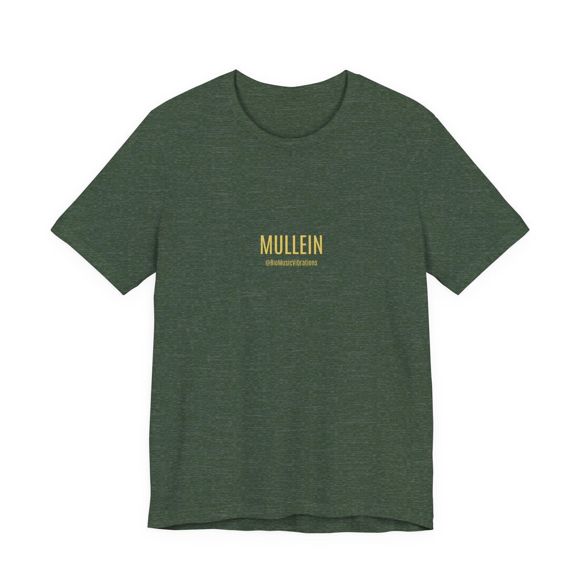 MULLEIN