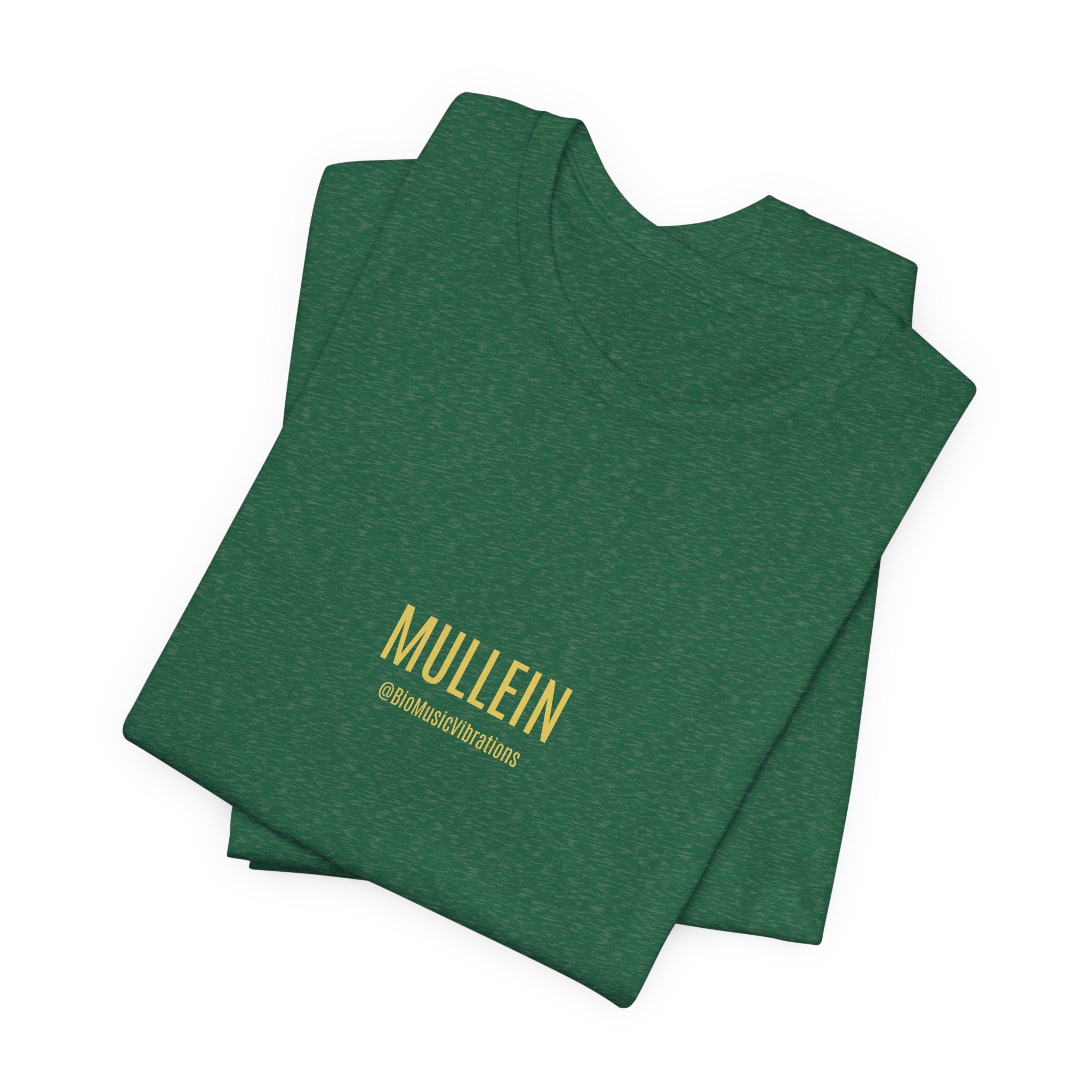 MULLEIN