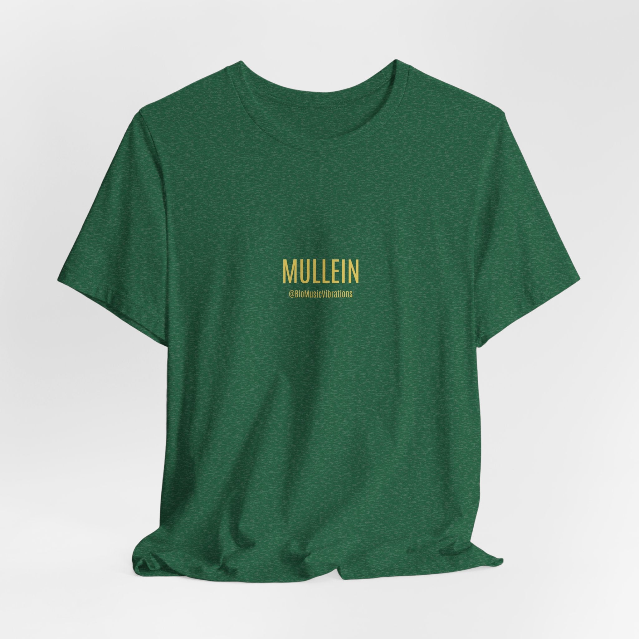 MULLEIN