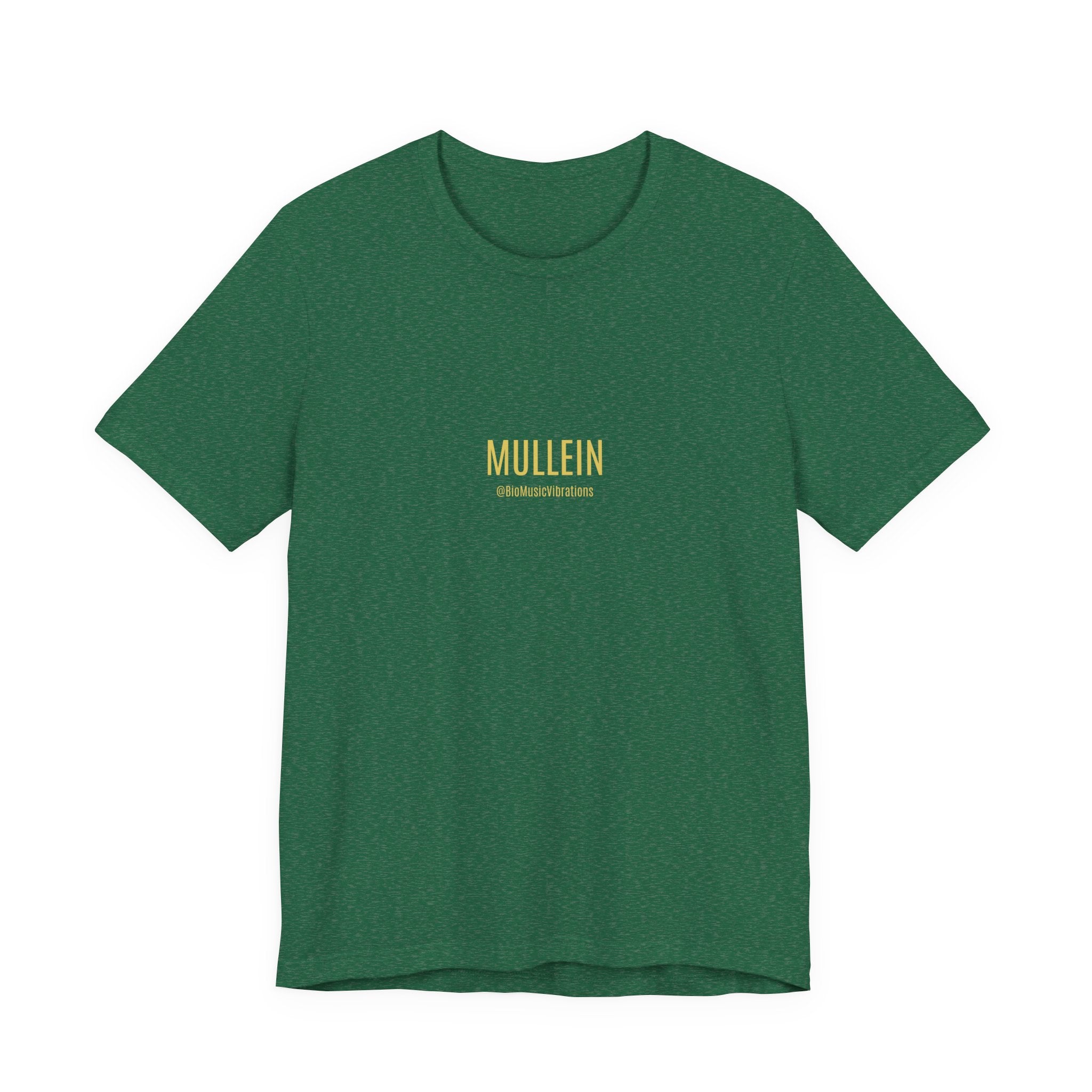 MULLEIN