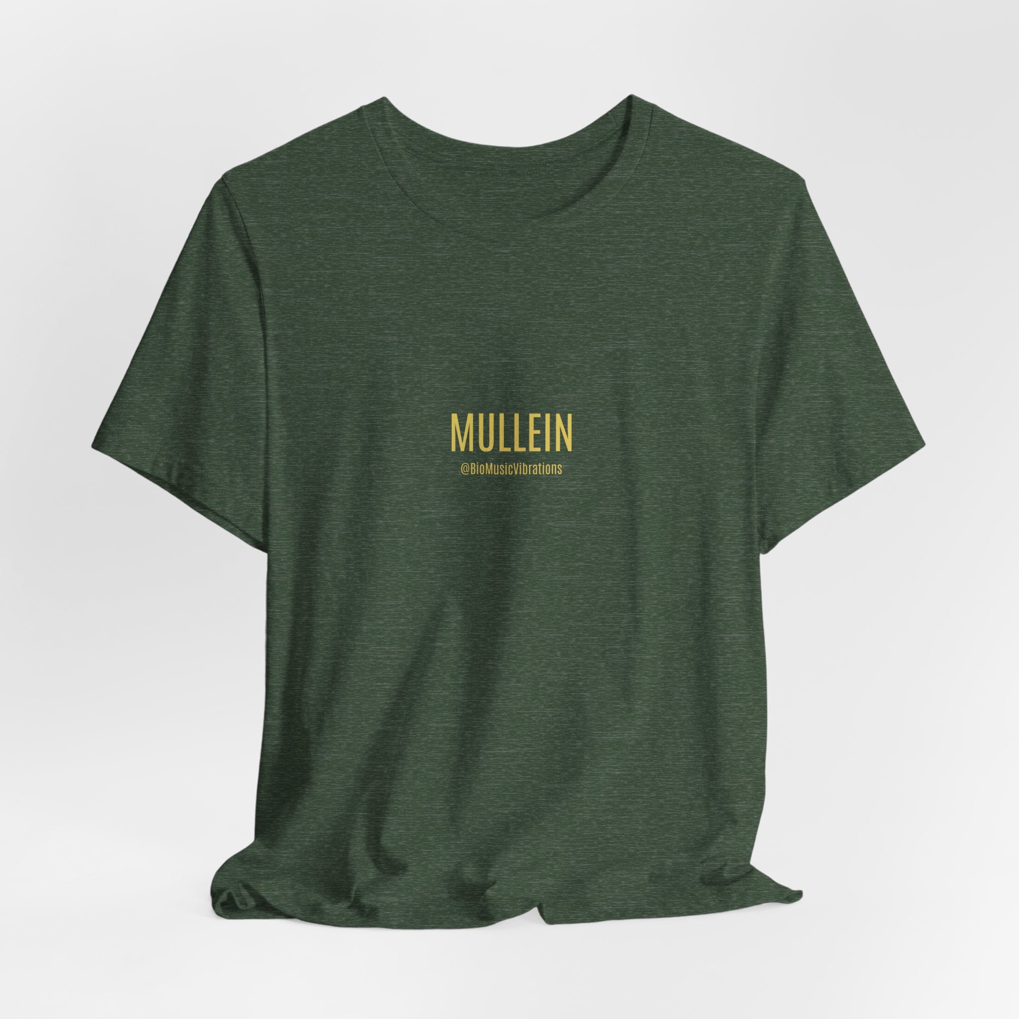 MULLEIN