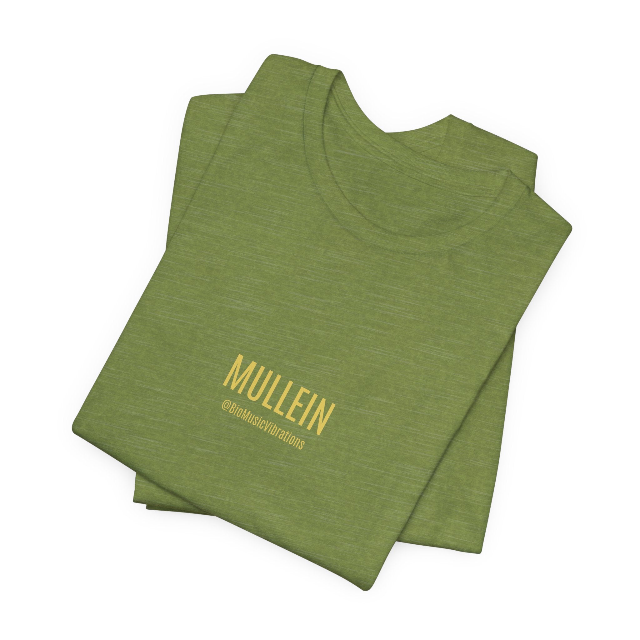 MULLEIN