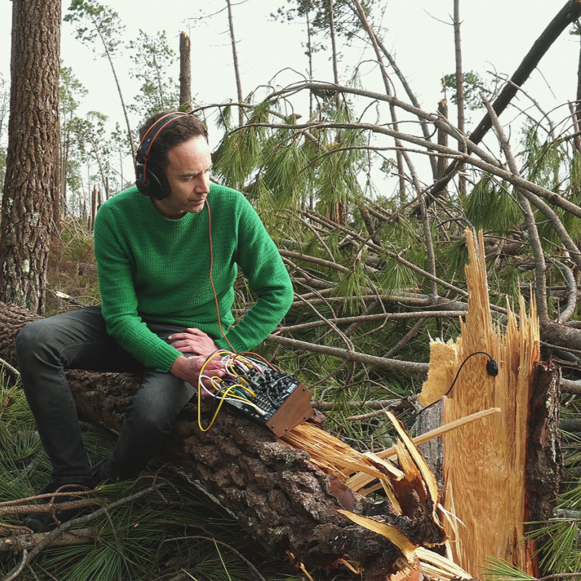 Listening to a Fallen Forest