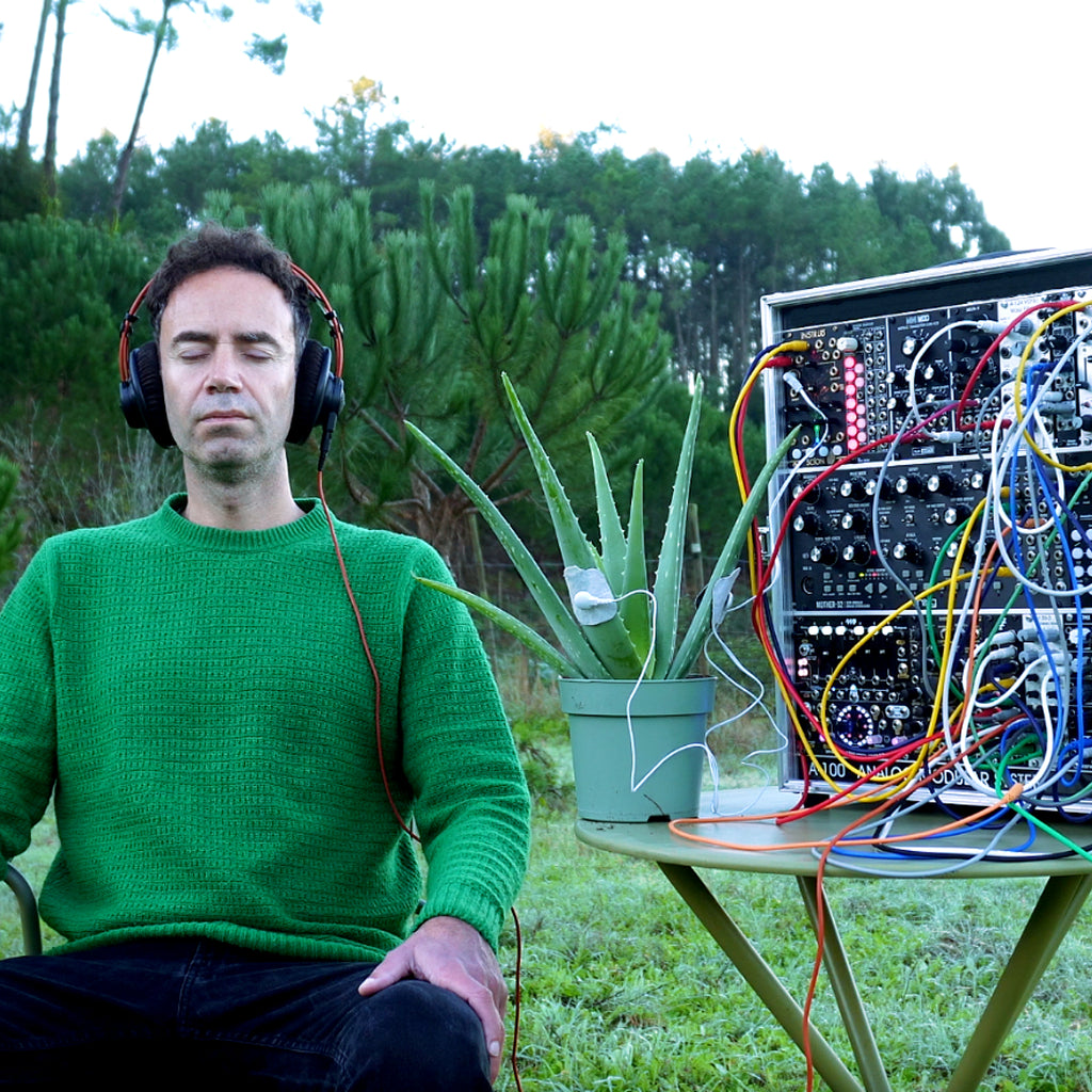 Aloe Vera Regeneration