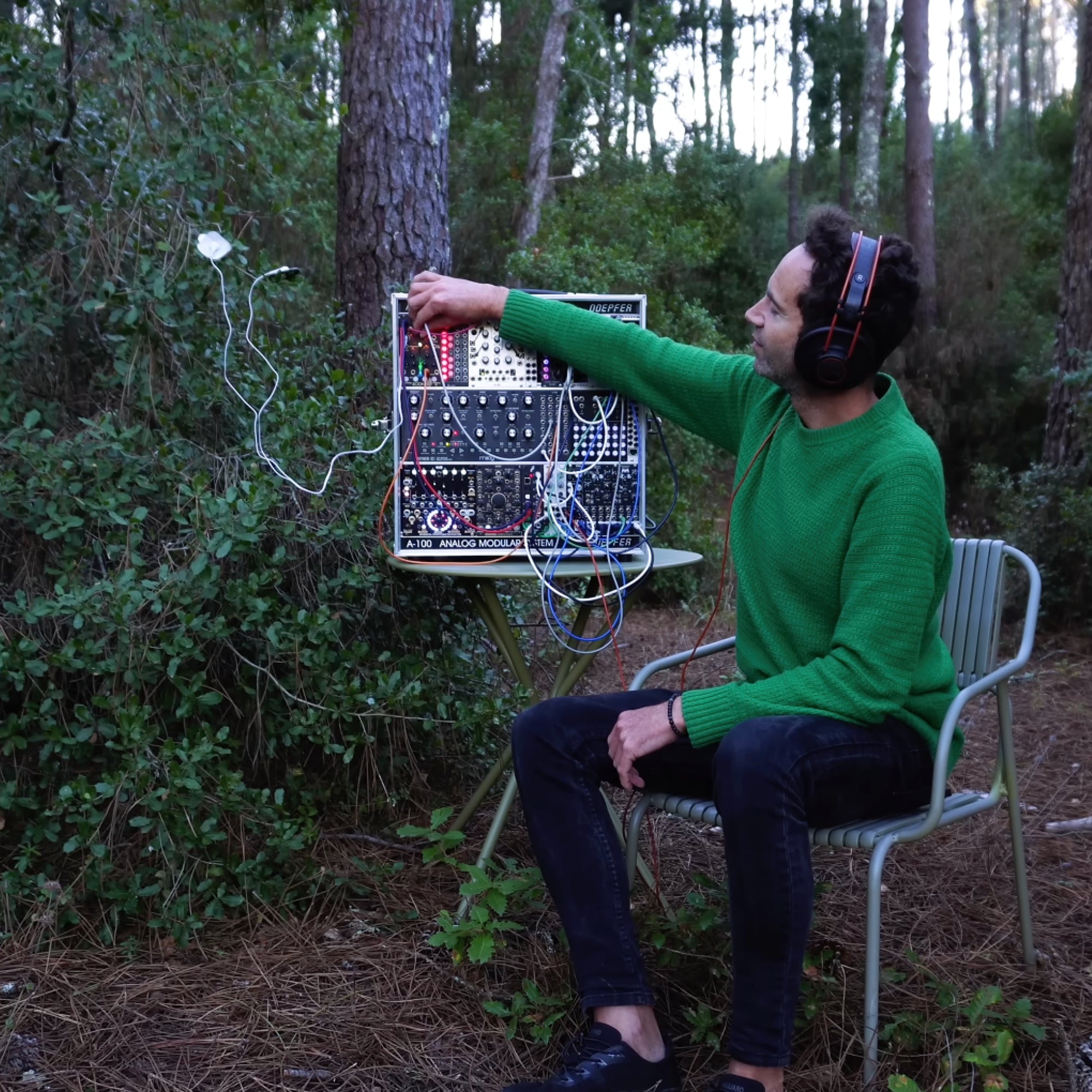 Holly Emotional Clarity