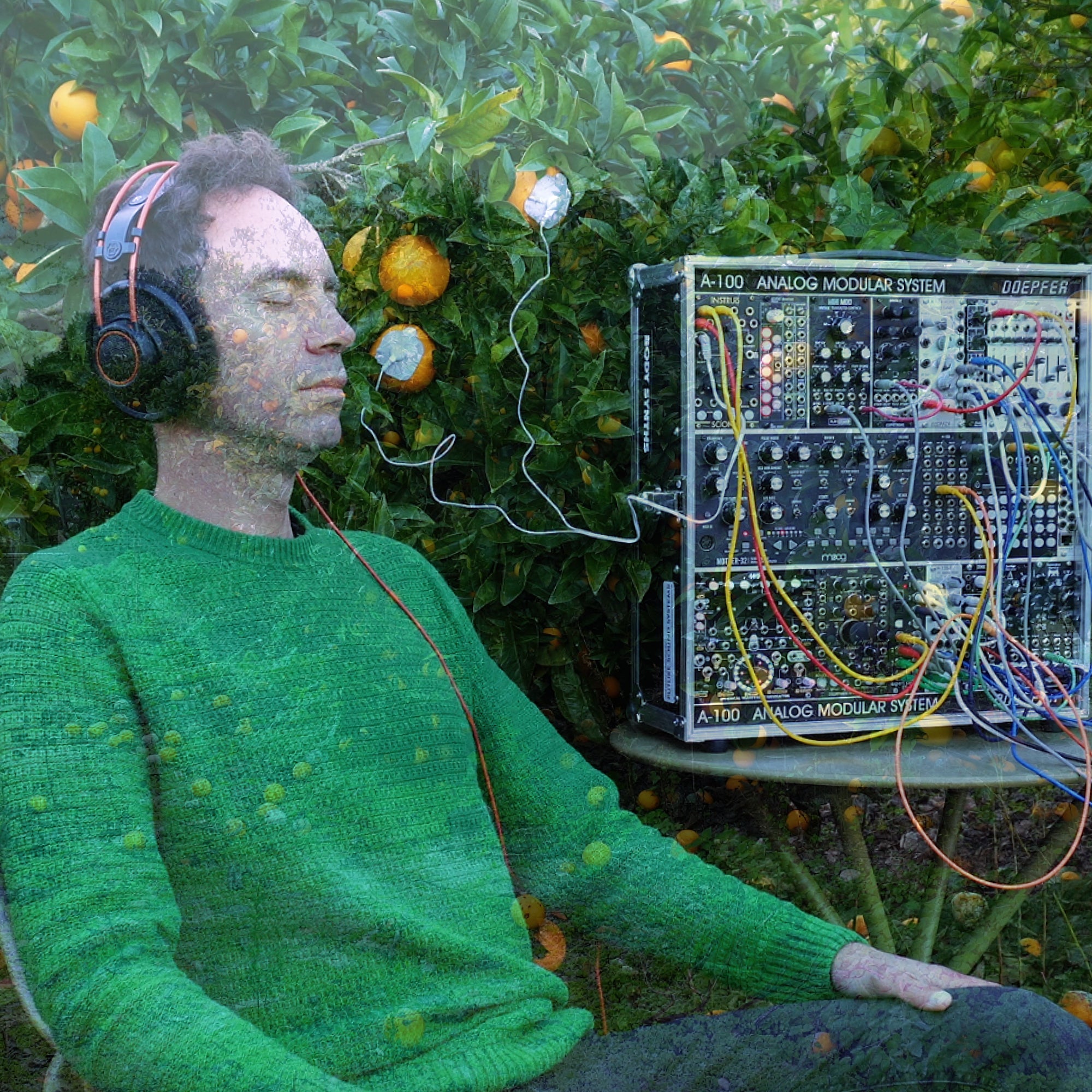 Orange Meditation 20min