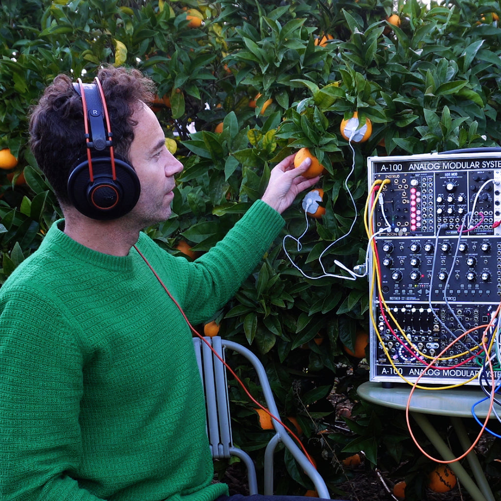 Orange Meditation 20min