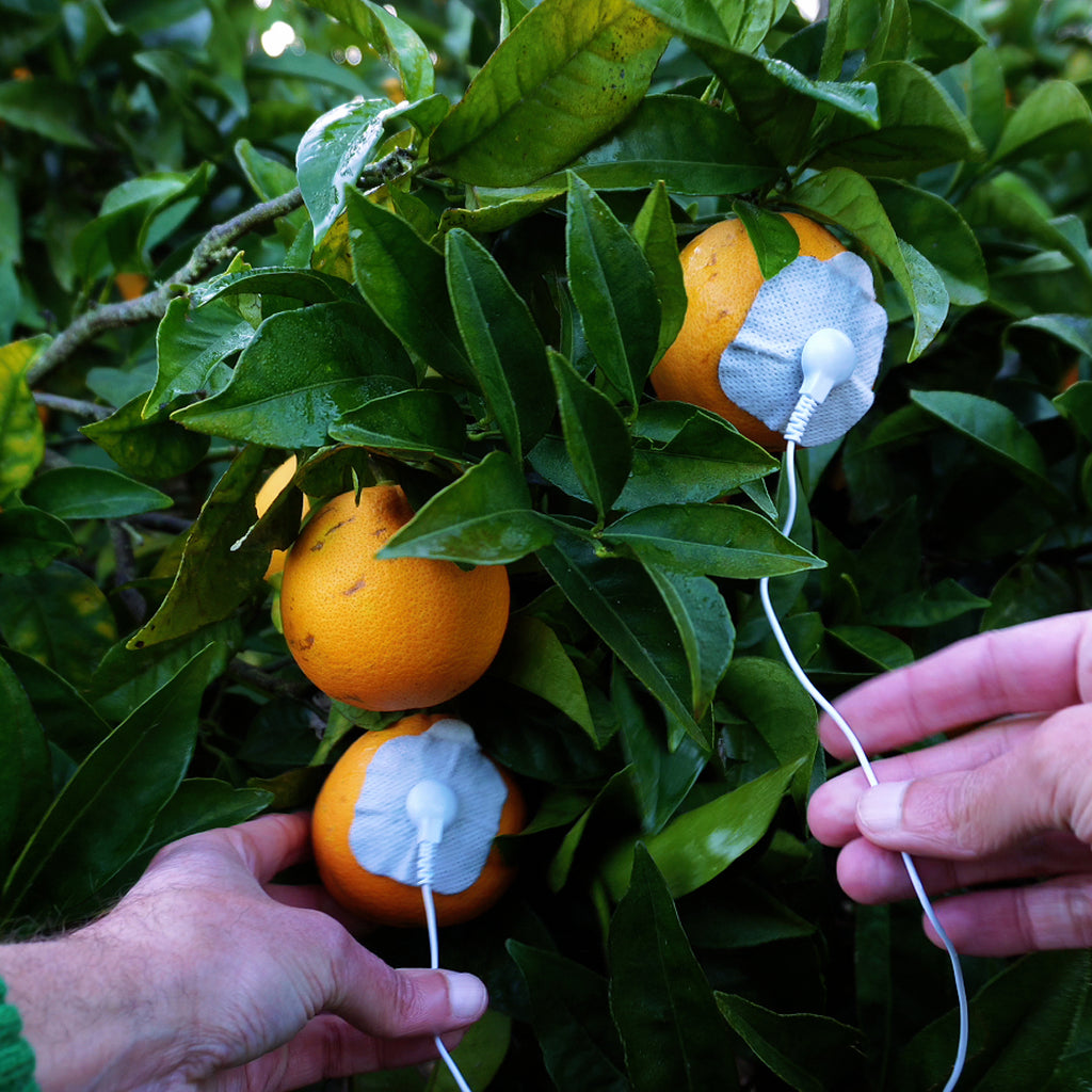 Orange Meditation 20min
