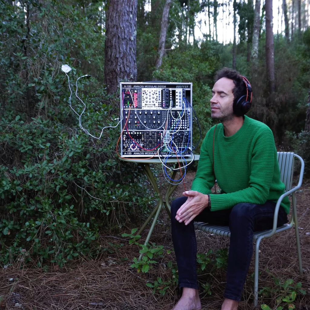 Holly Emotional Clarity