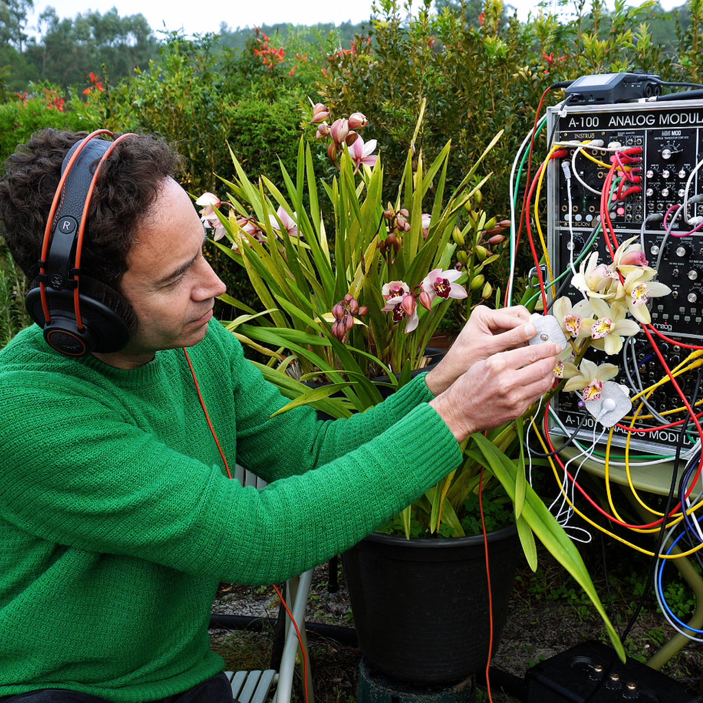 Listen to a meditation created by a living plants 🪴
