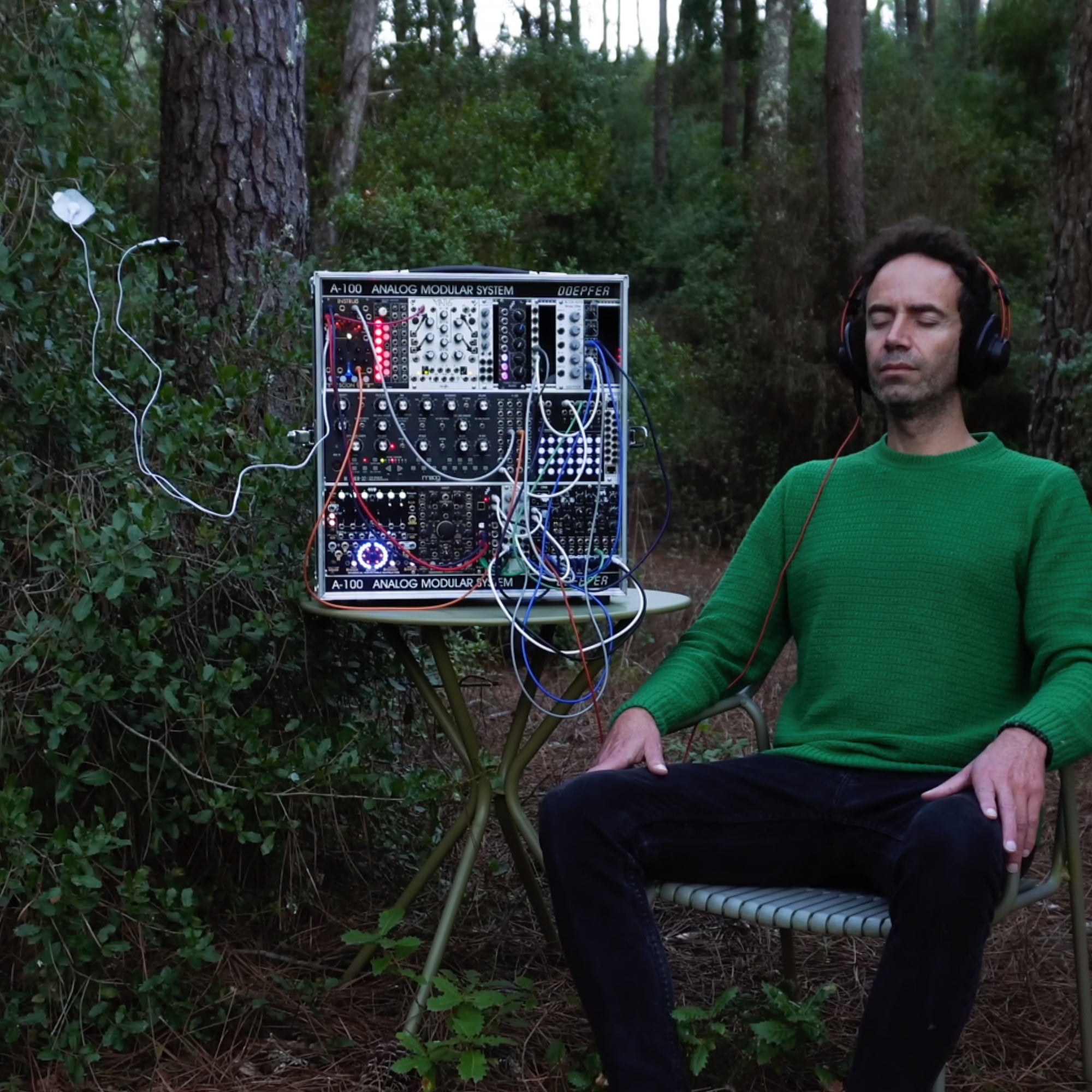 Holly Emotional Clarity