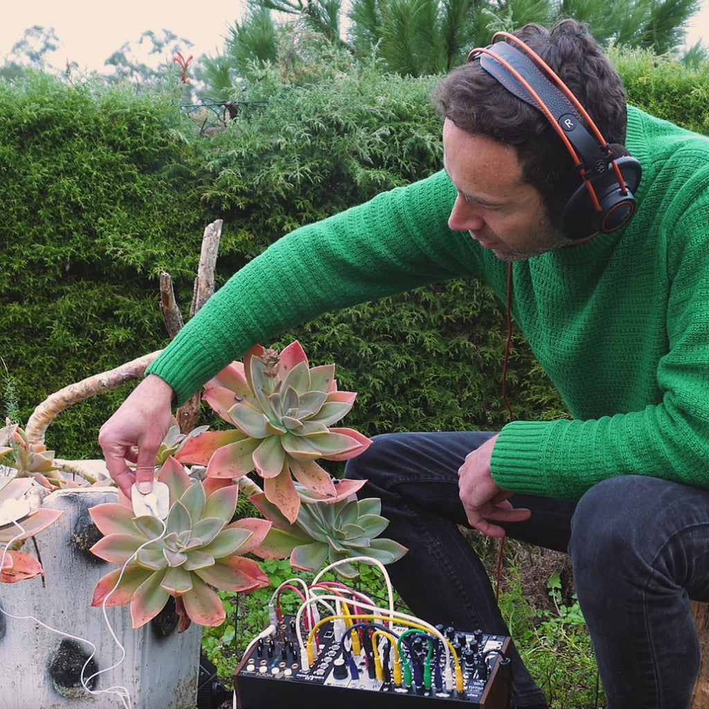 Listen to a meditation created by a living plants 🪴