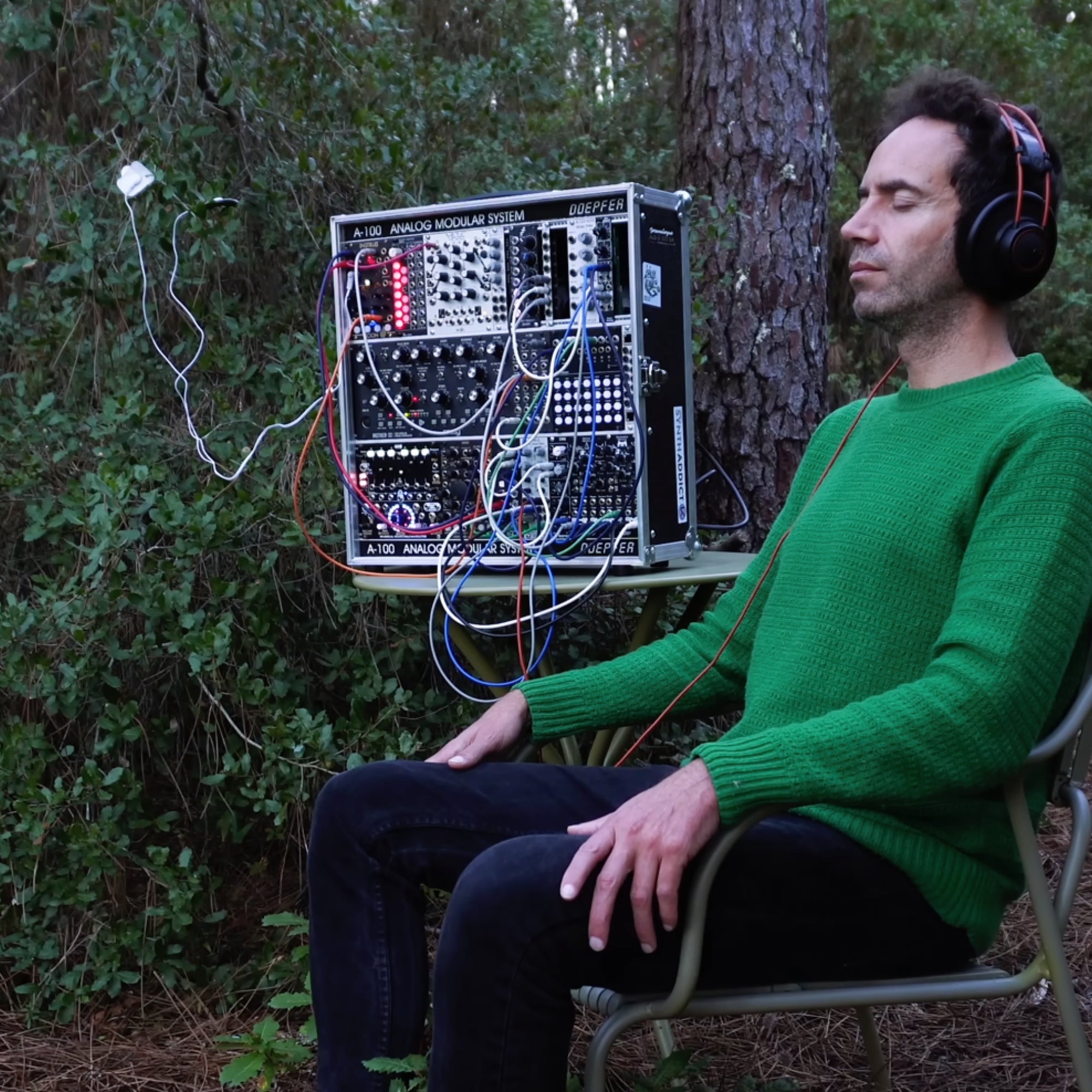 Holly Emotional Clarity