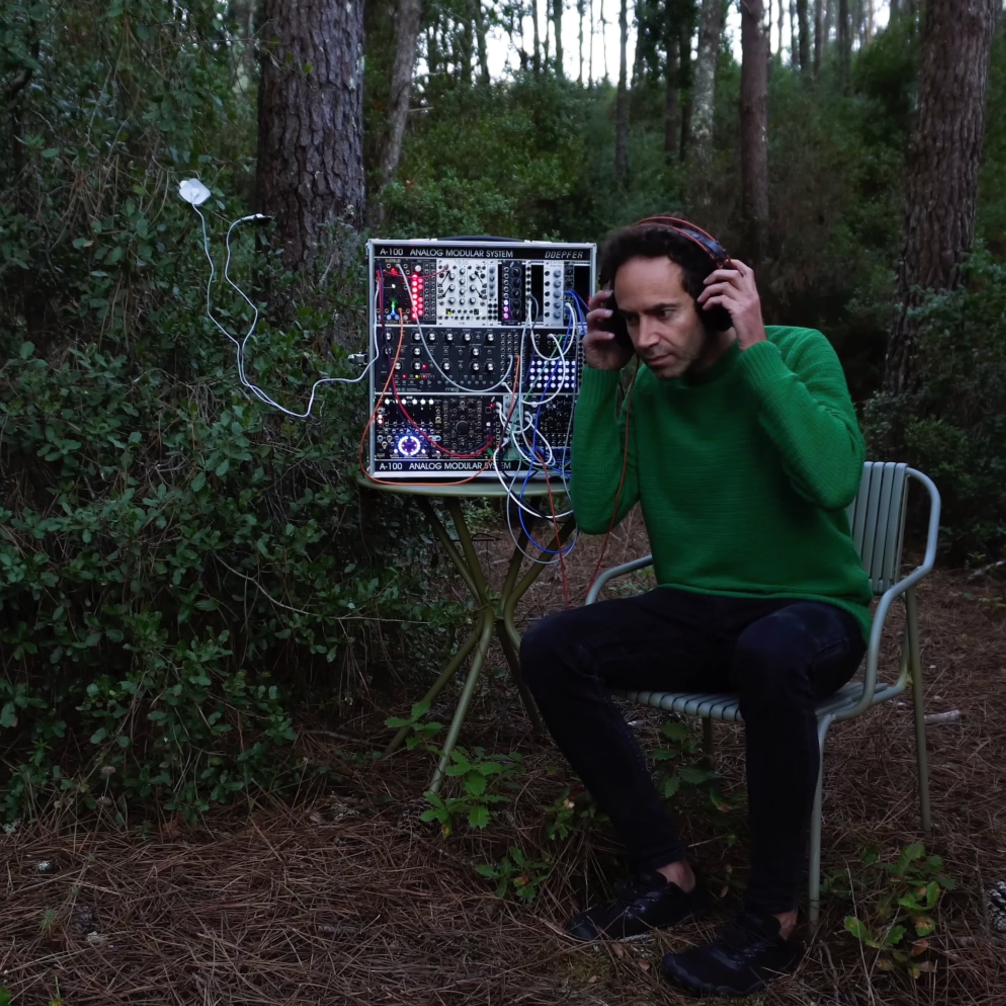 Holly Emotional Clarity