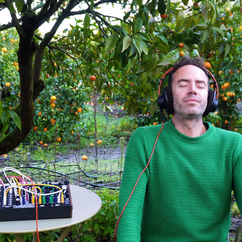 Listen to a meditation created by a living plants 🪴