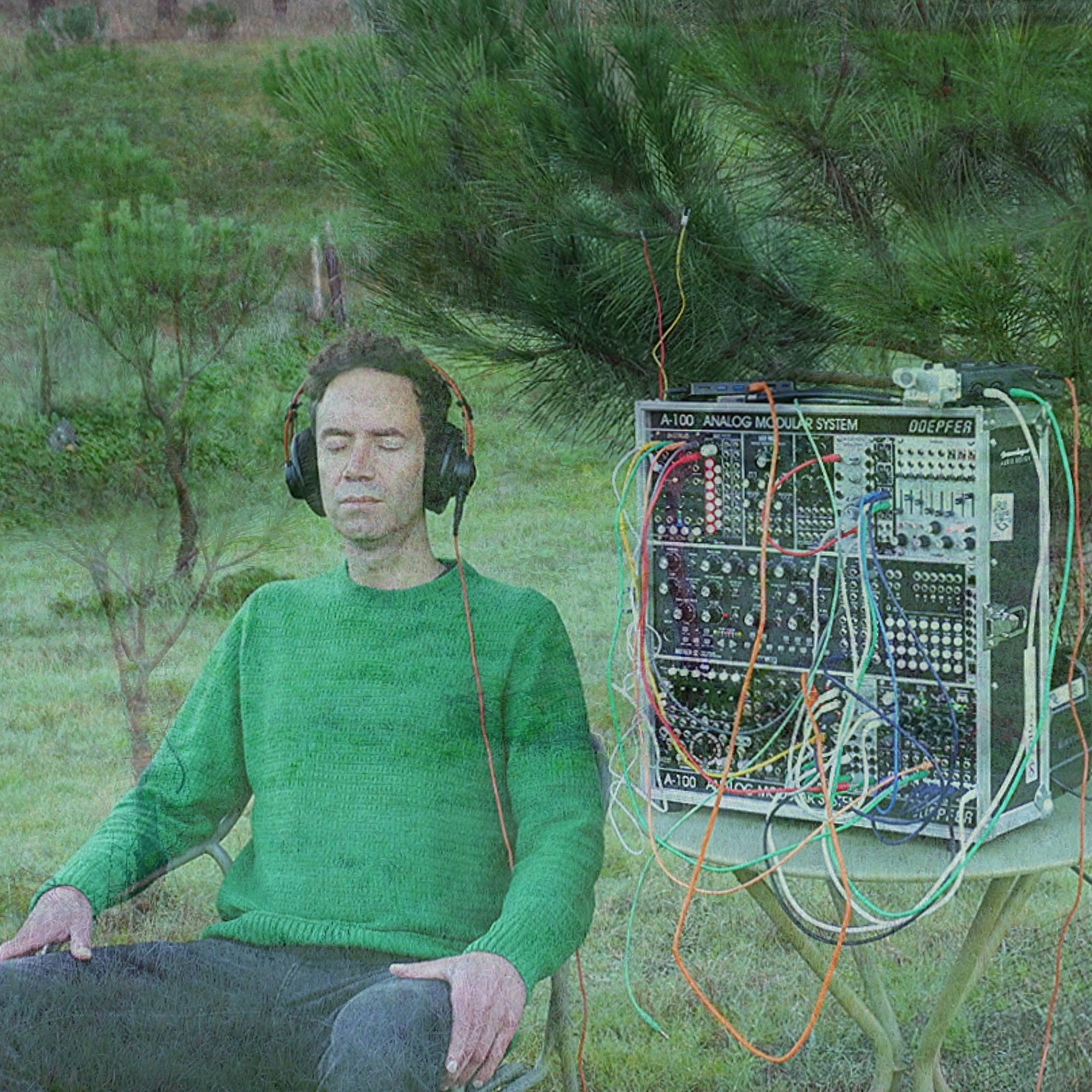 Pine Tree Meditation — 25 min