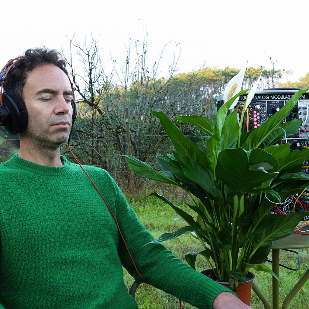 Peace Lily • Inner Peace & Emotional Harmony