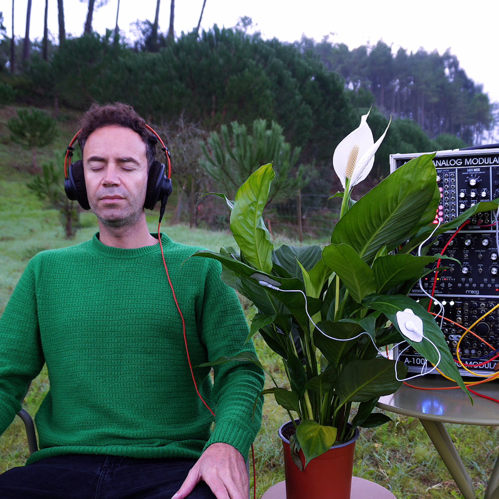 Peace Lily • Inner Peace & Emotional Harmony