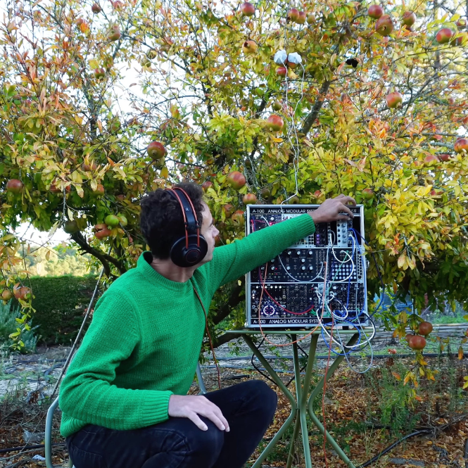 Listen to a meditation created by a living plants 🪴