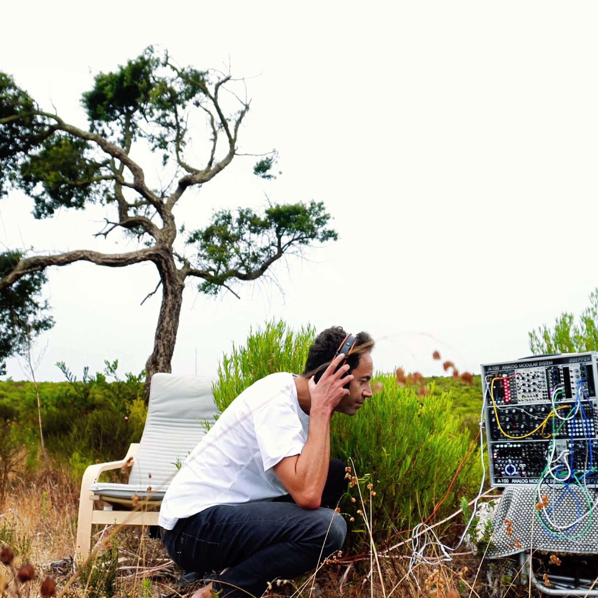 Acacia Healing Meditation