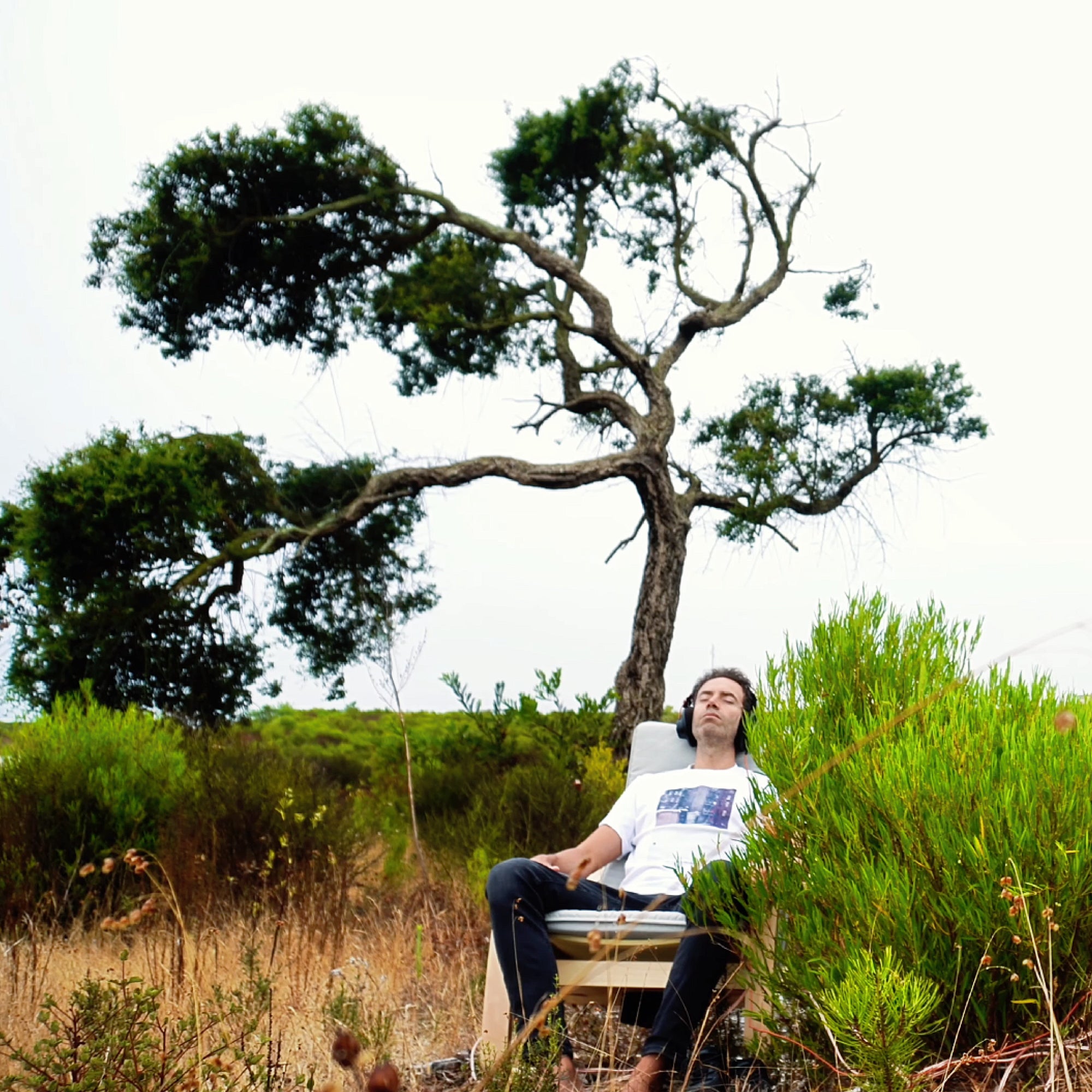 Acacia Healing Meditation